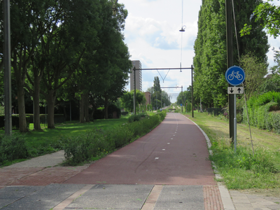 833574 Gezicht op het fietspad in het park Oosterspoorbaan te Utrecht, vanaf de Abstederdijk te Utrecht naar het ...